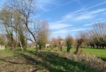 Bouwgrond Te koop Nieuwerkerken (Aalst)